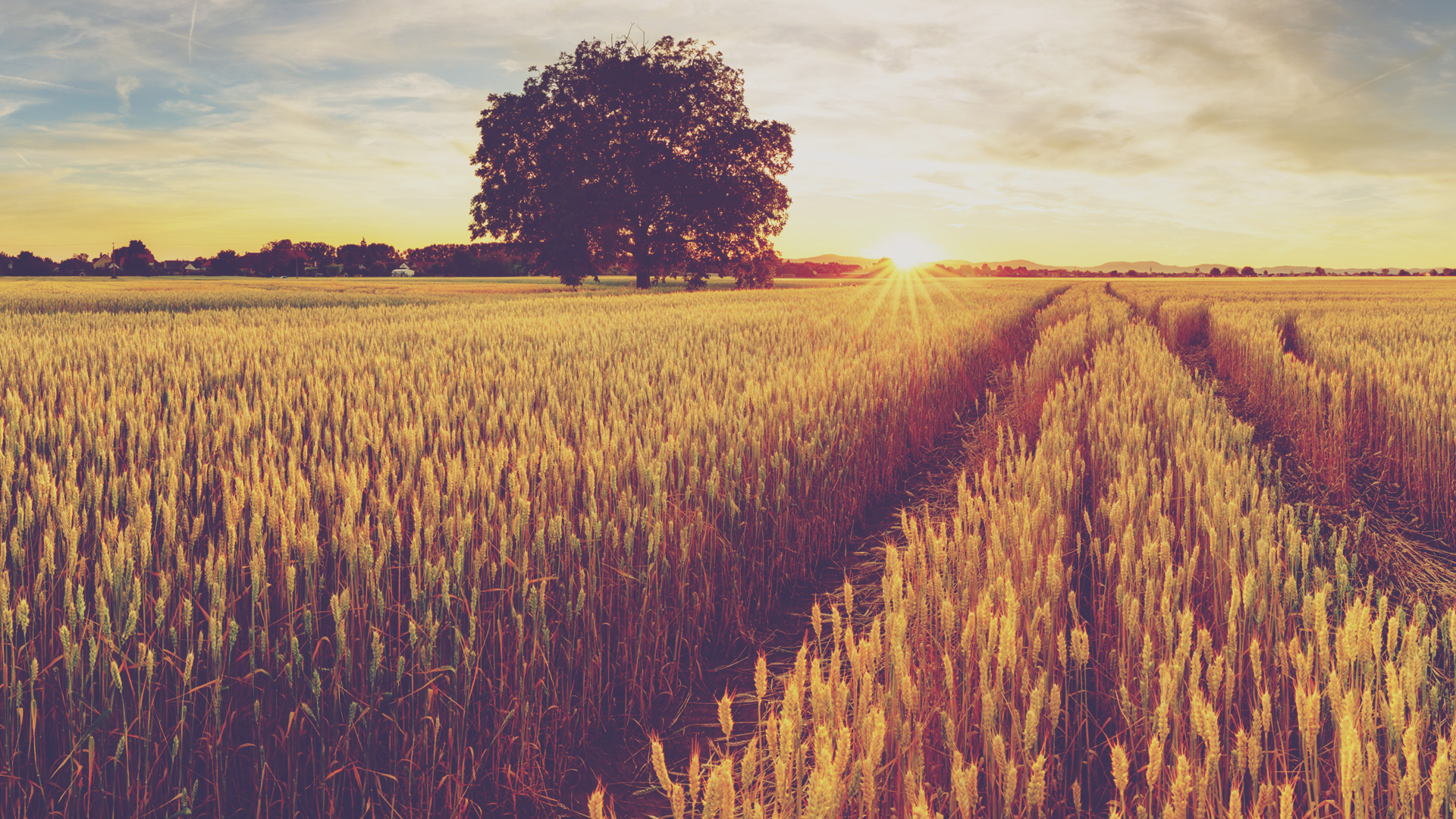 Giving to Burton Family Church